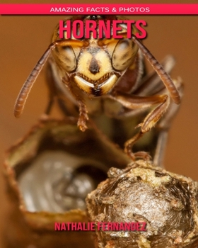 Hornets: Amazing Facts & Photos
