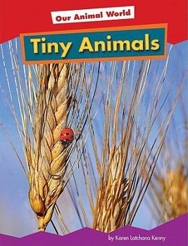 Library Binding Tiny Animals Book