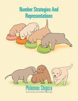 Paperback Number Strategies And Representations Book
