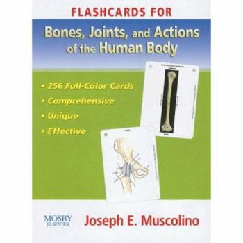 Hardcover Flashcards for Bones, Joints and Actions of the Human Body Book