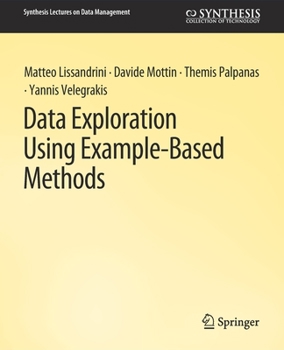 Paperback Data Exploration Using Example-Based Methods Book