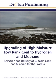 Paperback Upgrading of High Moisture Low Rank Coal to Hydrogen and Methane Book