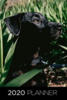 2020 Planner: Increase productivity, improve time management, reach your goals: Lovely black Labrador Retriever: Modern artistic photography style