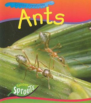 Paperback Ants Book