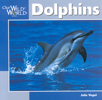 Paperback Dolphins Book