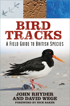 Paperback Bird Tracks: A Field Guide to British Species Book