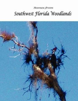 Paperback Scenes from Southwest Florida Woodlands Book