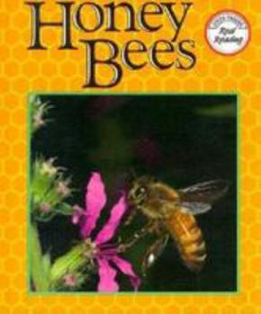 Hardcover Honey Bees Book