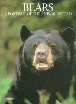 Hardcover Bears: A Portrait of the Animal World Book