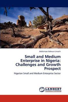 Paperback Small and Medium Enterprise in Nigeria: Challenges and Growth Prospect Book