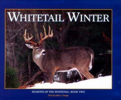 Hardcover Whitetail Winter Book