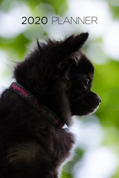 Planner: 2020 diary: Increase productivity, improve time management, reach your goals: Chihuahua: Modern artistic photography style cover design