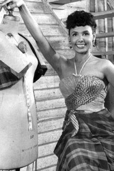 Lena Horne notebook - achieve your goals, perfect 120 lined pages #1 (Lena Horne Notebooks)