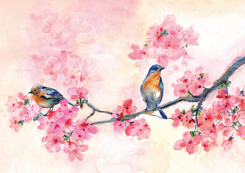 Misc. Cherry Blossoms in Spring Note Cards (14 Cards, 15 Self-Sealing Envelopes) [With Envelope] Book