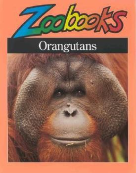 Orangutans (Zoobooks Series) - Book  of the Critters Up Close