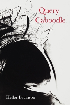 Paperback Query Caboodle Book