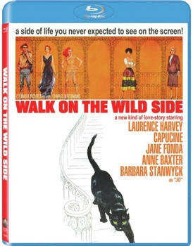 Walk On The Wild Side