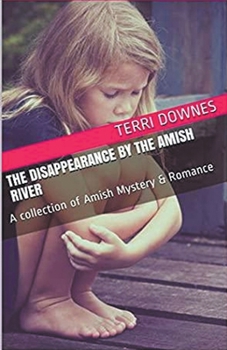 Paperback The Disappearance By The Amish River Book