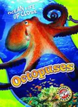 Octopuses - Book  of the Ocean Life Up Close