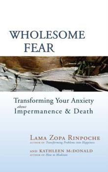 Paperback Wholesome Fear: Transforming Your Anxiety about Impermanence & Death Book