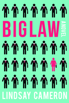 Hardcover Biglaw Book