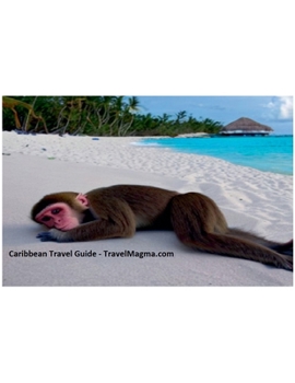 Paperback Caribbean Travel Guide - Explore the Caribbean Islands Book