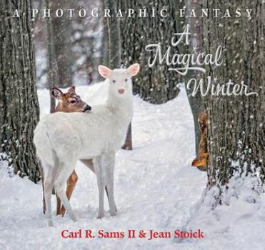 Hardcover A Magical Winter Book