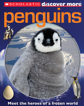 Paperback Scholastic Discover More: Penguins Book