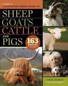 Paperback Storey's Illustrated Breed Guide to Sheep, Goats, Cattle and Pigs: 163 Breeds from Common to Rare Book