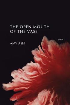 Paperback The Open Mouth of the Vase Book