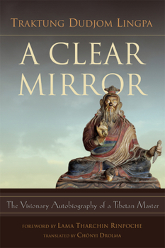 Paperback A Clear Mirror Book