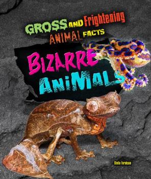 Hardcover Bizarre Animals Book