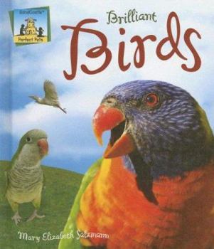 Brilliant Birds - Book  of the Perfect Pets