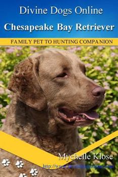 Paperback Chesapeake Bay Retrievers: Divine Dogs Online Book