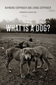 Paperback What Is a Dog? Book