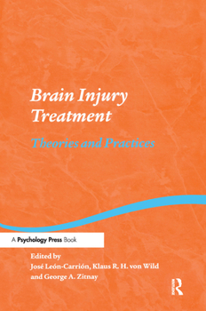 Brain Injury Treatment: Theories and Practices (Studies on Neuropsychology, Neurology and Cognition)