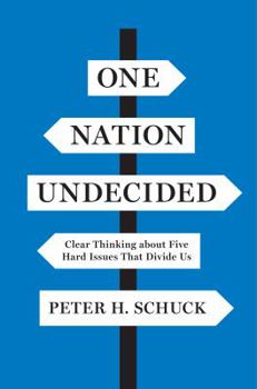 Hardcover One Nation Undecided: Clear Thinking about Five Hard Issues That Divide Us Book