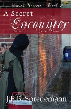 Paperback A Secret Encounter (Amish Secrets #2) Book