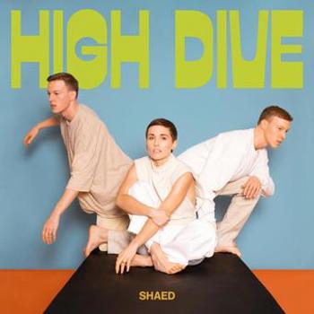 Vinyl High Dive (Milky Clear LP) Book