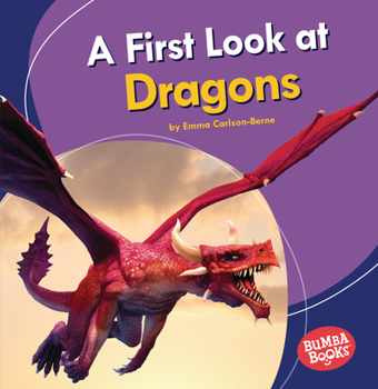 Paperback A First Look at Dragons Book