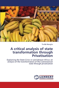 Paperback A critical analysis of state transformation through Privatisation Book