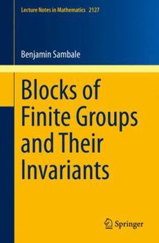 Paperback Blocks of Finite Groups and Their Invariants Book