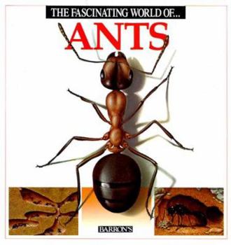 Paperback The Fascinating World of Ants Book