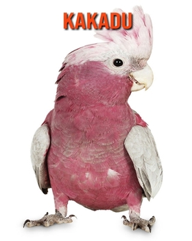 Kakadu: Erstaunliche Fakten & Bilder