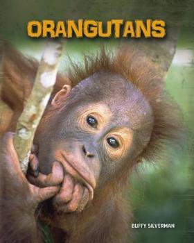 Paperback Orangutans (Living in the Wild: Primates) Book