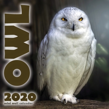 Paperback The Owl 2020 Mini Wall Calendar Book
