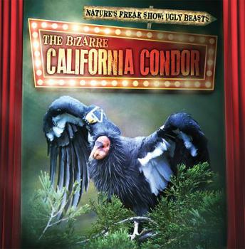 Paperback The Bizarre California Condor Book