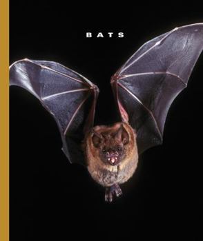 Library Binding Bats Book