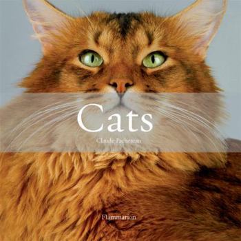 Hardcover Cats Book