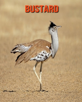 Paperback Bustard: Amazing Facts & Pictures Book